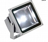 LED OUTDOOR BEAM 30W светильник IP65 с COB LED 30¬т (35¬т), 5700K, 3000лм, 100?, серебристый	